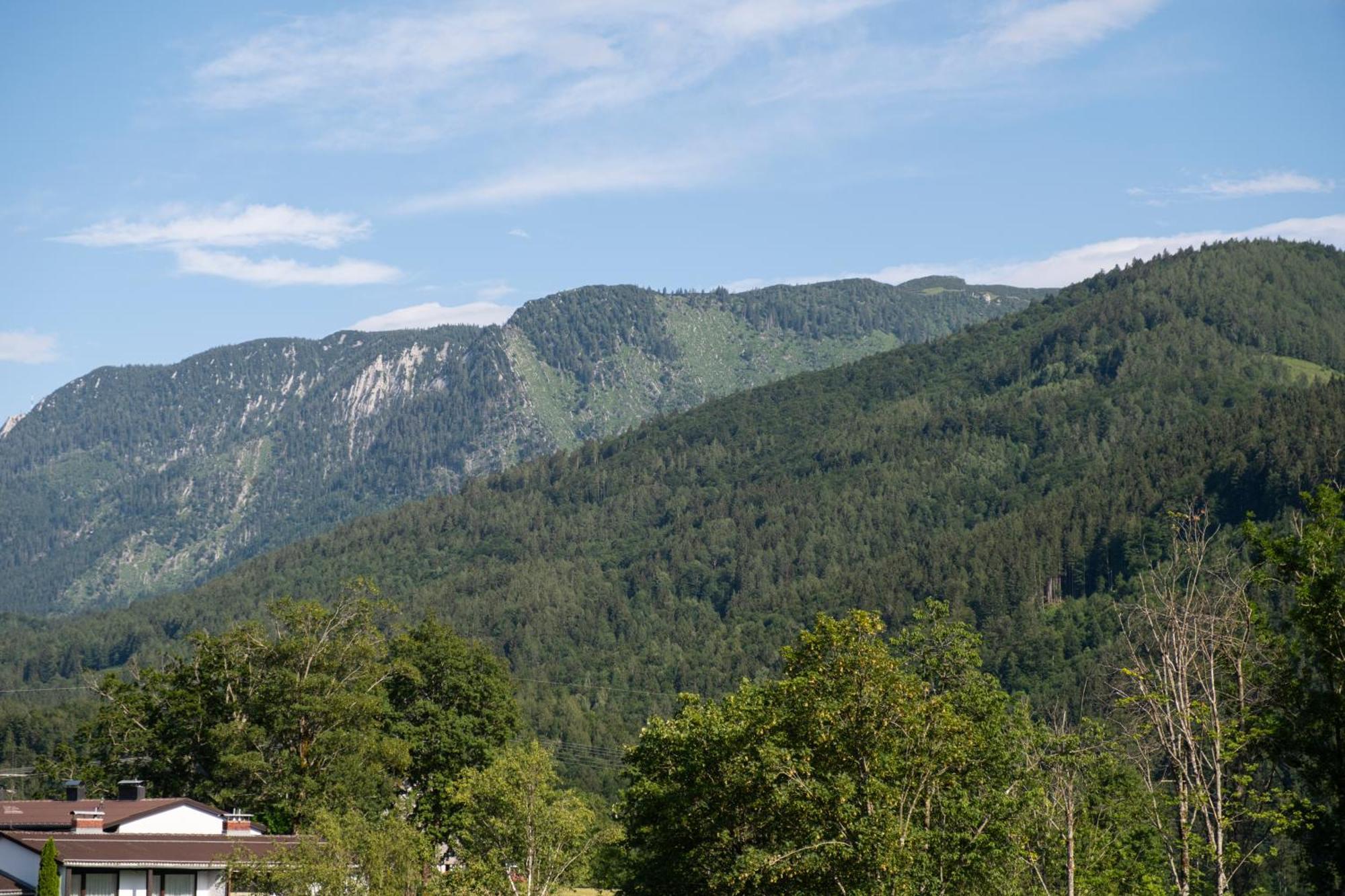 Suite Apartment Modern Getaway - Neu Renoviert - Strobl Am Wolfgangsee Buitenkant foto